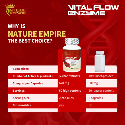 Nature Empire Vital Flow Enzyme - Circulatory Support Supplement with Nattokinase & Omega-3, Vascular Health Formula for Blood Flow & Endothelial Function, 60 Vegan Capsules