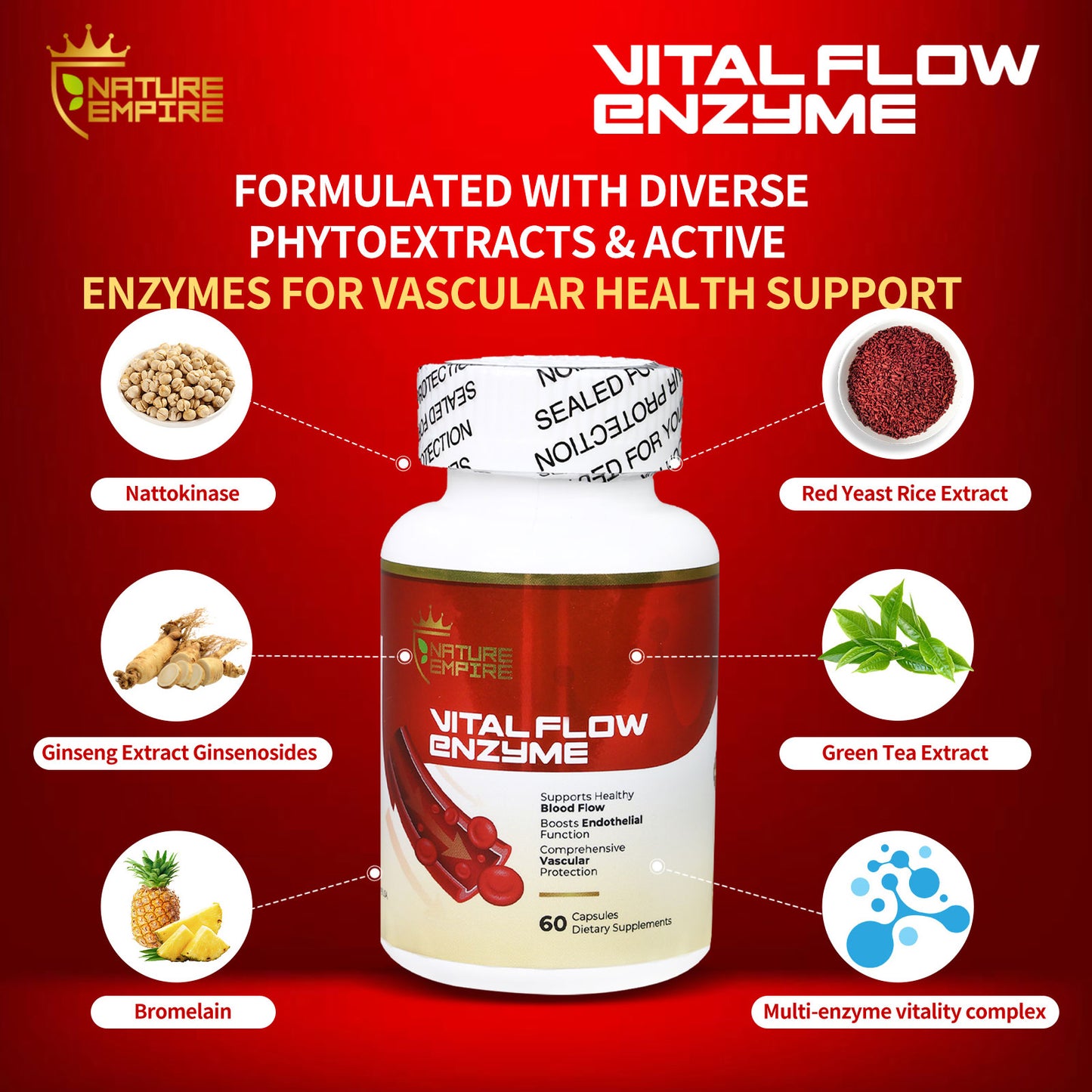 Nature Empire Vital Flow Enzyme - Circulatory Support Supplement with Nattokinase & Omega-3, Vascular Health Formula for Blood Flow & Endothelial Function, 60 Vegan Capsules