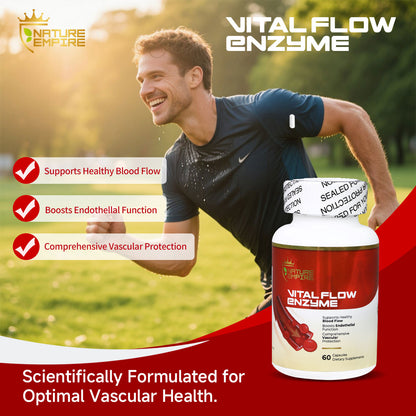 Nature Empire Vital Flow Enzyme - Circulatory Support Supplement with Nattokinase & Omega-3, Vascular Health Formula for Blood Flow & Endothelial Function, 60 Vegan Capsules